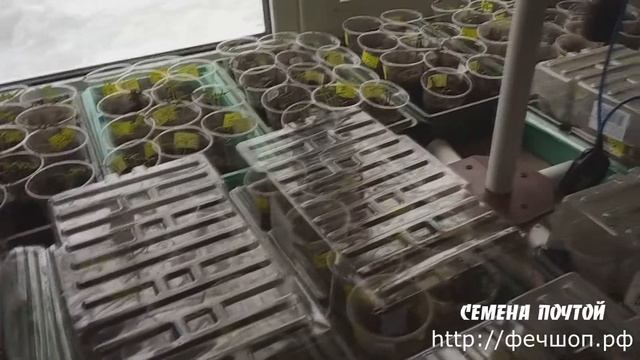 Подсветка для рассады