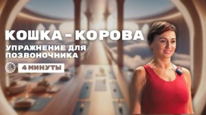 Самое эффективное упражнение для позвоночника и внутренних органов. Йога кошка корова