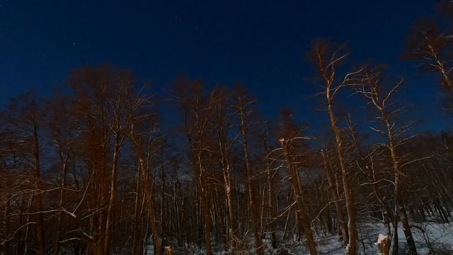 Ночное небо