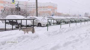 Ежегодно в России по поводу укусов домашних животных обращается около 400 тысяч человек