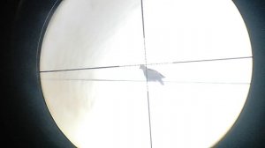 Reximex throne gen 2