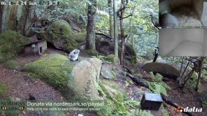 Волнительное ожидание и вкусный завтрак