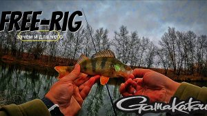 ОСНАСТКА FREE-RIG | ОКУНЬ ЗАКРЫЛ РОТ | МИКРОДЖИГ ПОЗДНЕЙ ОСЕНЬЮ