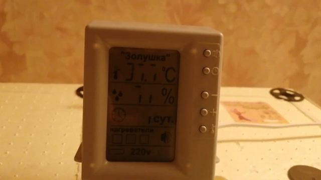 Инкубатор Золушка 2020 смотреть онлайн