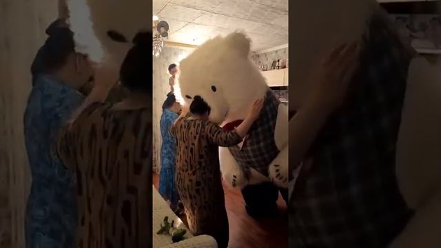 Мишка поздравляет в квартире! Поздравление белый мишка смотреть онлайн