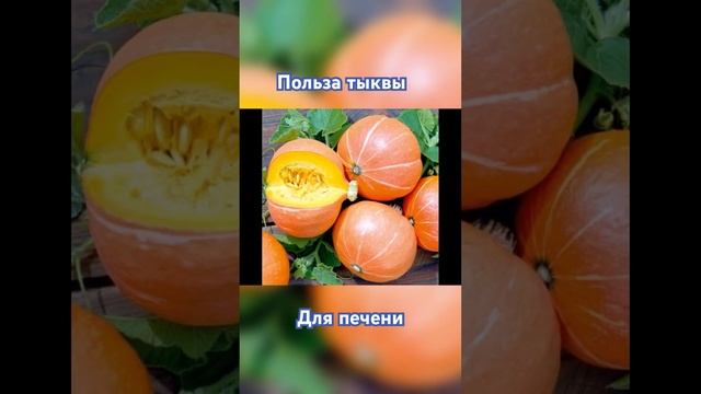 Польза тыквы для печени #тыква #здоровье #организм #человек