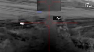 Thermal foxing .22-250 Pulsar Thermion 2 LRF XQ50 Pro