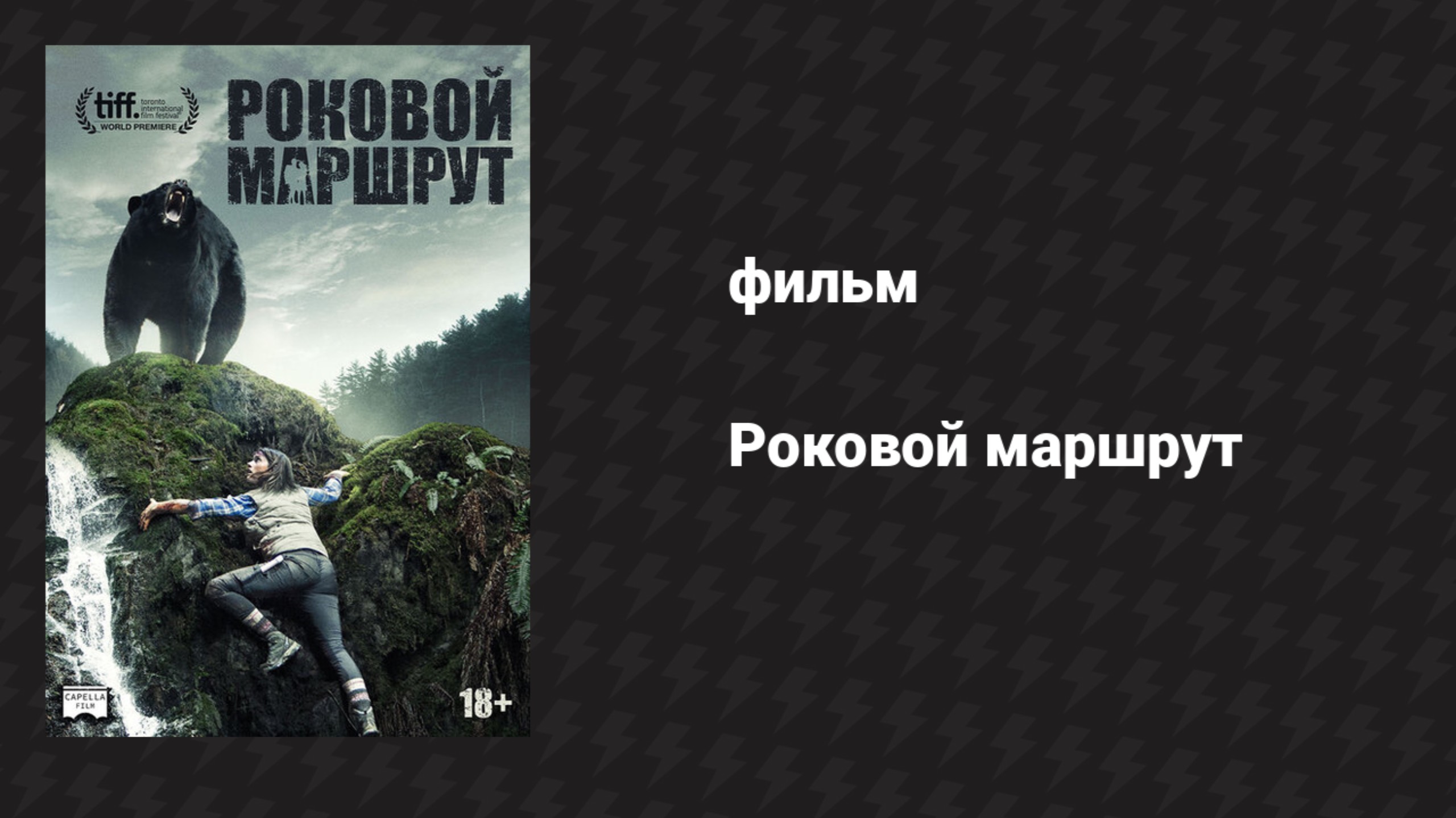 Роковой маршрут (фильм, 2014)