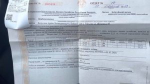 Дрова за копейки в РБ. Выписали сухостой на самостоятельную заготовку