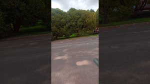 03.08.2024г."ДЕНЕЖНЫЙ ПОТОК". Причины блокирующие денежные потоки.