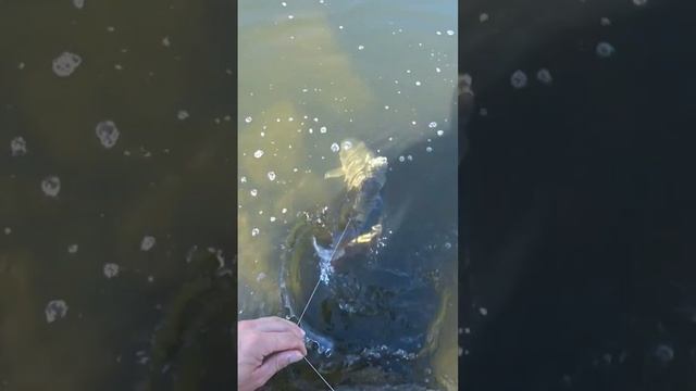 27 сентября 2022 г. смотреть онлайн