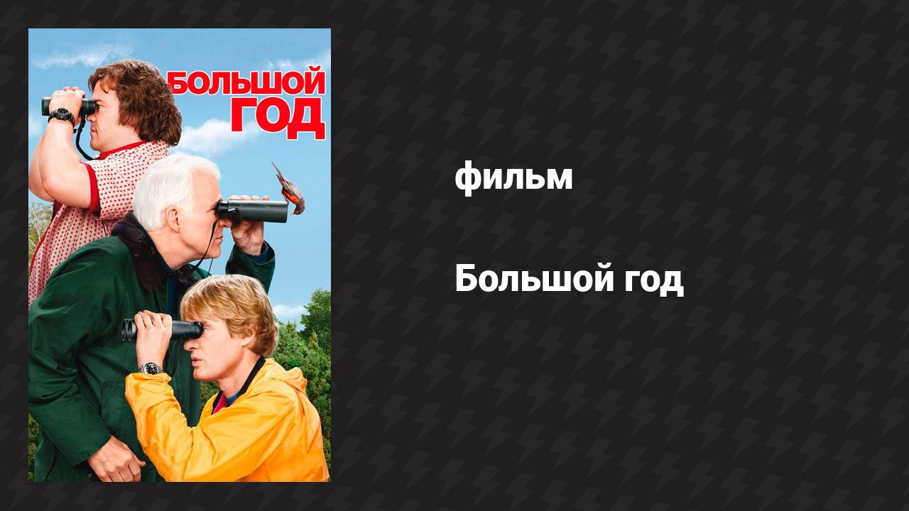 Большой год (фильм, 2011)