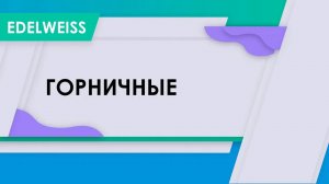 АСУ Эдельвейс: Модуль Горничные