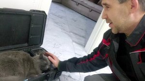 Кот теплотехник в помощниках. Делаем промывку дома г. Семёнов.