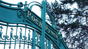 КАК ЗИМУЕТ «РОЕВ РУЧЕЙ»?