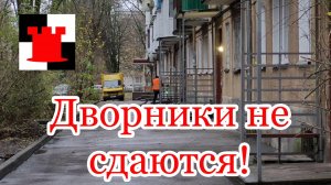 Новости Калининграда: дворники не сдаются!