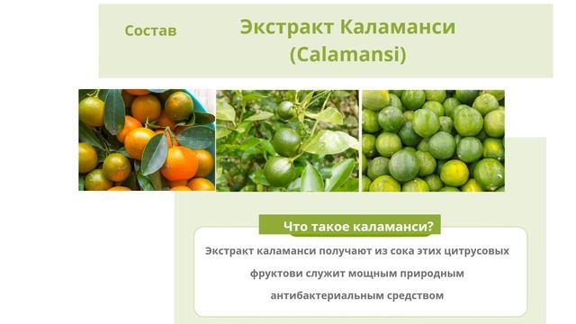 Dish detergent _натуральное средство для мытья посуды, овощей, фруктов и других поверхностей.