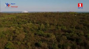 "Крымский мост" Вардуи Диланян