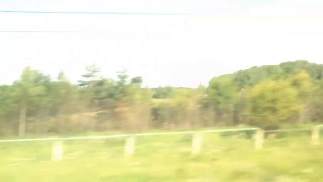 Вид в окно на Сапсане, скорость 225 км/ч