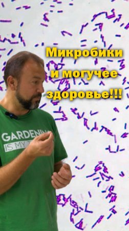 Можно вообще не болеть - мудрые советы!!!
Наш белорусский друг в России. Башинком. Иван Русских