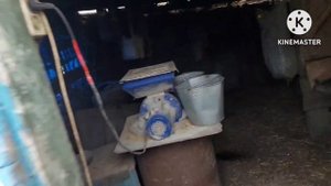 Жизнь в селе#Казахстан#Чистим последний загон.