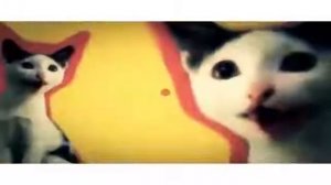 Чернышка Шипицина клип под песню мя мя мяу мя мяу мя