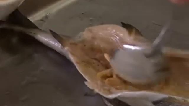 Вкусные новости: Форель смотреть онлайн