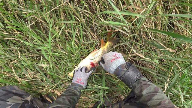 Поохотился немного(slingshot fishing) смотреть онлайн