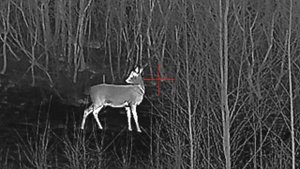 Вечерка на лабазе в ожидании кабана 🐗