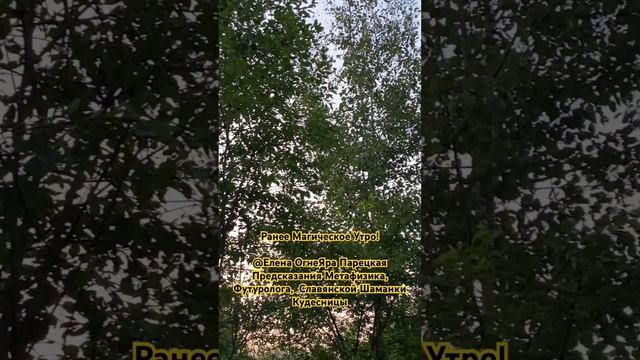 Ранее #магическое #утро! @Елена ОгнеЯра Парецкая #Метафизик, #Футуролог #Славянская #Шаманка #насмп