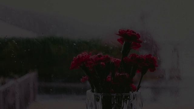 Alice's Adventures in Wonderland: Chapter 2 with Rain Sounds (Bedtime Story)