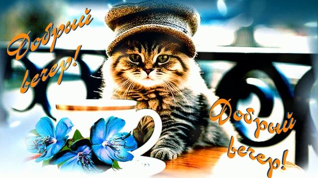 КРАСИВЫЕ ПЕСНИ ОБО ВСЁМ...ДОБРЫЙ ВЕЧЕР! смотреть онлайн