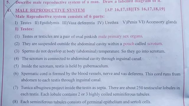 SR. ZOOLOGY STAR Q 2020 100% PASS 55 MARKS || #bulletbabybook смотреть онлайн