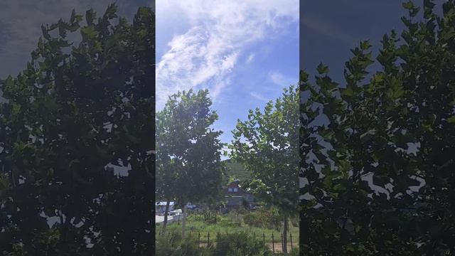 Наслаждаюсь последними деньками на ЮГЕ #сукко смотреть онлайн