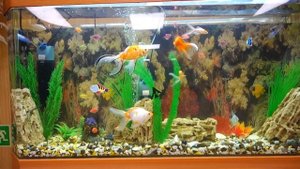 Круиз Самара -Астрахань -Самара 20.06.24-28.06.24 на теплоходе Сергей Кучкин. Фильм 1.