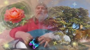 Гусли... Кедръ и Роза