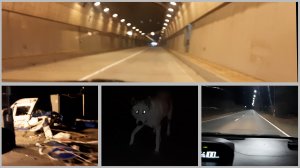 Ночные будни! Хасанский район.