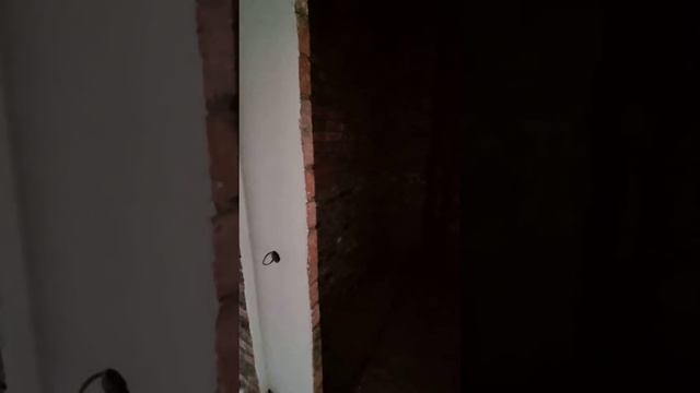 Продаж 🏗️ квартира однокімнатна Автобіографія 6 поверх Озерна Хмельницький Нерухомість Новобудова 💙