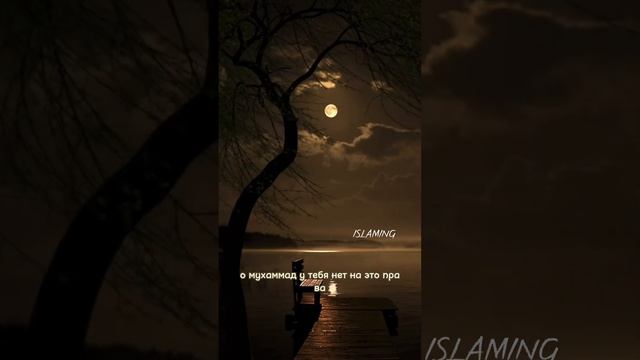 ТЕ КТО ИСКРЕННЕ СКАЗАЛ ШАХАДУ НЕ БУДЕТ ВЕЧНО В АДУ#сунна #коран#ислам#allah#дуа #рай #умма #мухамма