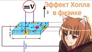 Эффект Холла в физике | Задача с межнара 85 года