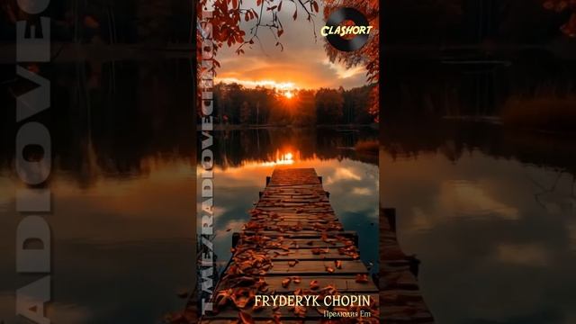 #ClaShort 🎼 Fryderyk Chopin - Прелюдия (Em)