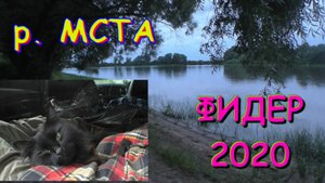 Река Мста. Фидер. 2020 год.