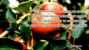 ДОБРОЕ УТРО!! _ КРАСИВЫЕ ПЕСНИ ОБО ВСЁМ...