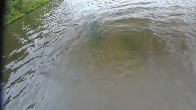 Охота с рогаткой в сентябре смотреть онлайн