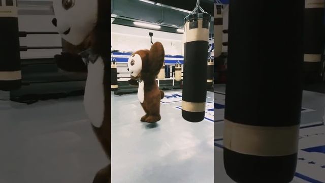 Чебурашка ходит в спортзал? Поздравление милашки - чебурашки смотреть онлайн