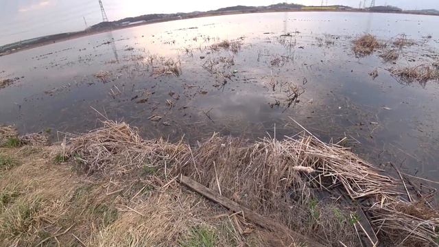 Охота на карасей(slingshot fishing) смотреть онлайн