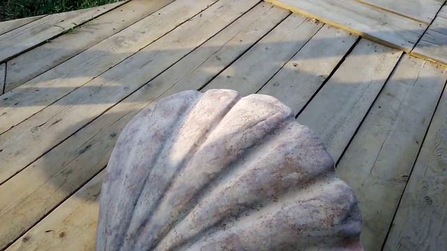 садовые скульптуры своими руками морская раковина из цемента . Конец проекта