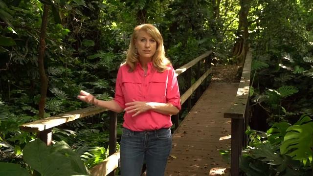 How do parenting and the environment affect brain development? смотреть онлайн