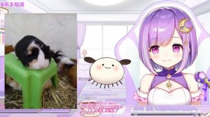 【沖縄旅行】鼻声だけど!写真見ながらお土産話!【#神月天/Vtuber】