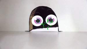 Sofia and funny stories in her house about pets kittens and dog